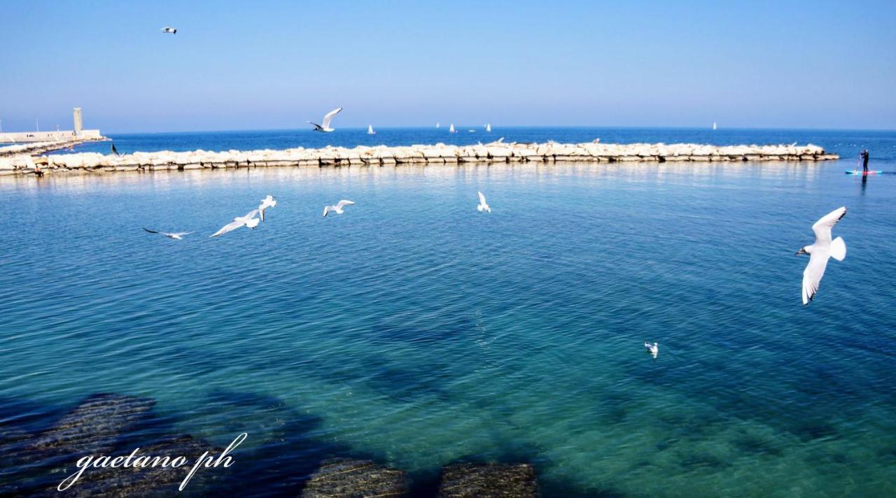 Putignani 210 Apartment Bari Buitenkant foto